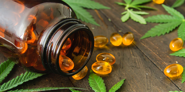CBD Kapseln